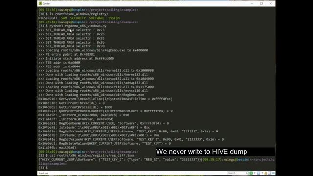 Qiling Framework - Windows Registry смотреть онлайн