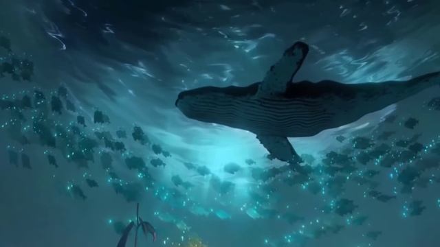 Whale Sounds Deep Underwater & Ocean Piano Relaxation Sleep Music
