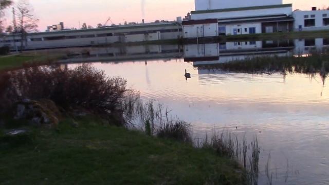 Evening walk. Test av Canon Legria HF R68 i dåligt ljus смотреть онлайн