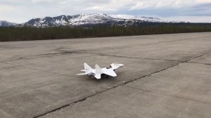 Миг-29 пробежка