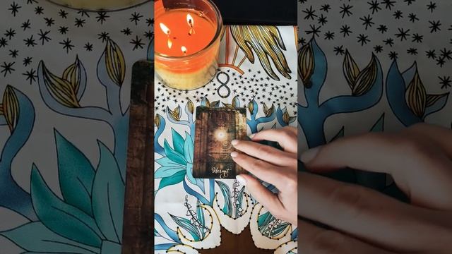 Думает ли обо мне персона? #экспресспрогноз #гадание смотреть онлайн