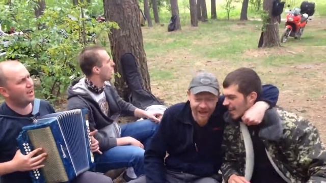 Беспечный ангел на гармони смотреть онлайн