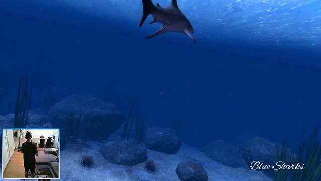 OCEAN RIFT - Sea Turtles / Blue Sharks / Sea Snakes /// -VR- EXPERIENCE /// смотреть онлайн