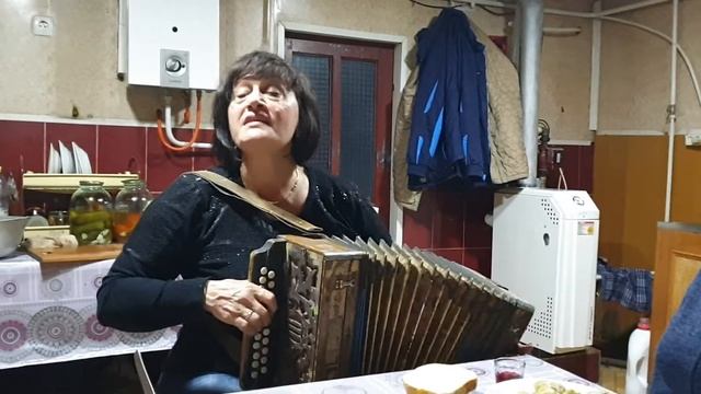 Гармошка. 11 смотреть онлайн