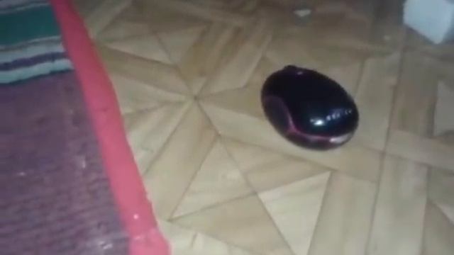 магнум валит смотреть онлайн