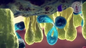 Просто о сложном. Полимеразная цепная реакция