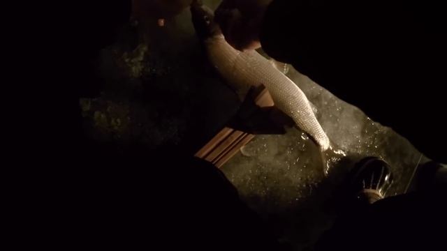 Ловля крупного сига. смотреть онлайн