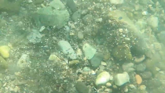 Underwater metal detecting with minelab excalibur 2, i found 6 gold and silver rings. смотреть онлайн