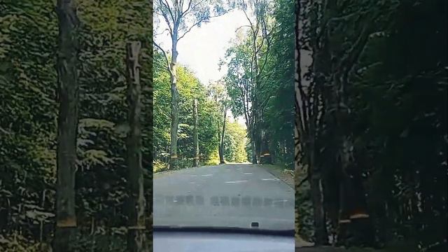 Пограничная зона (18.08.2022) ТС ВечагоР. смотреть онлайн