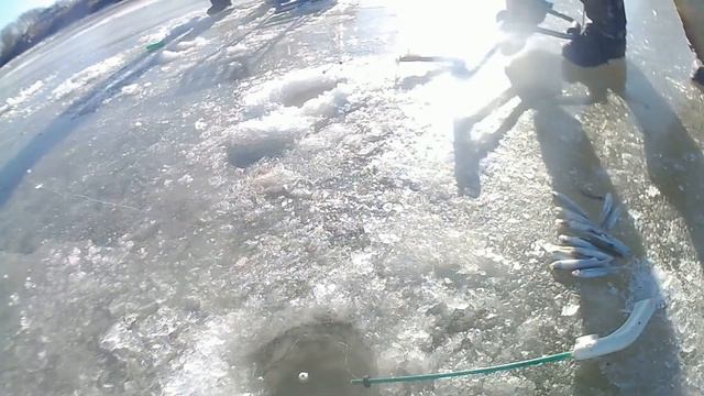 Суйфун ( Район горбатого моста , писуч ) 1.12.18 смотреть онлайн