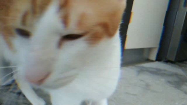 как я прощю кушкать смотреть онлайн