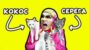 ПЕСНЯ ПРО СКИБИДИ КОТЯТ - HOLY BAAM (mashup by. NiKiToS)