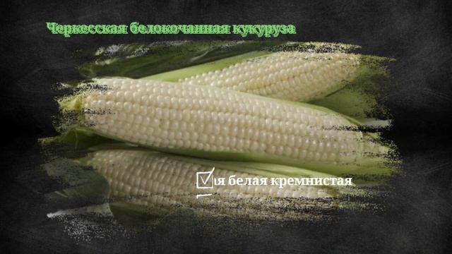 Черкесские сорта кукурузы. смотреть онлайн
