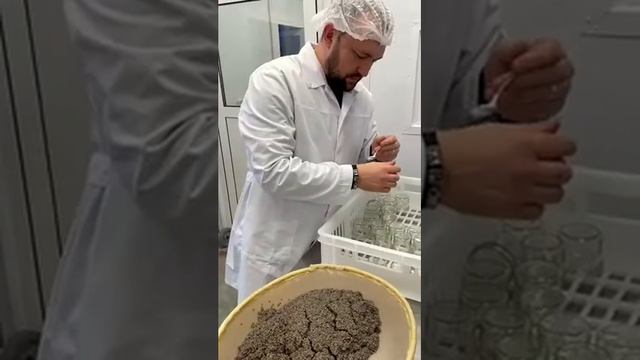 Лучшая забойная икра белуги смотреть онлайн