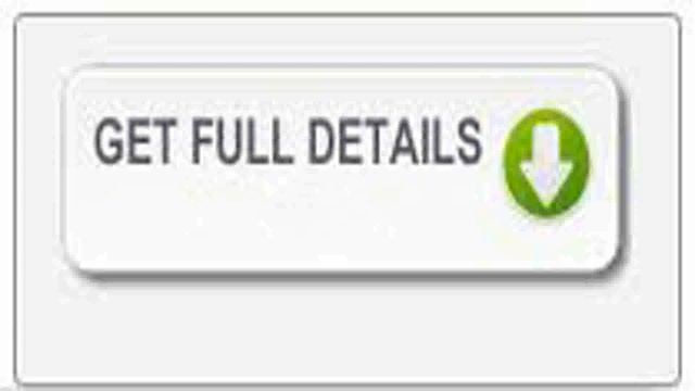 Elastico: Responsive Fullscreen Portfolio WP Theme