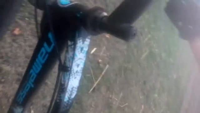 ПОСТАВИЛИ СКРЫТЫЕ КАМЕРЫ СНЯЛИ КОРОВ