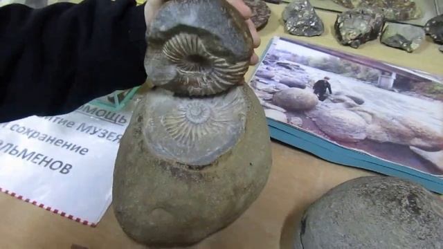 Аммониты и дольмен, Каменномостский, Адыгея смотреть онлайн