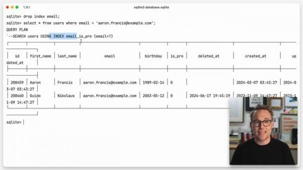 49. Duplicate indices