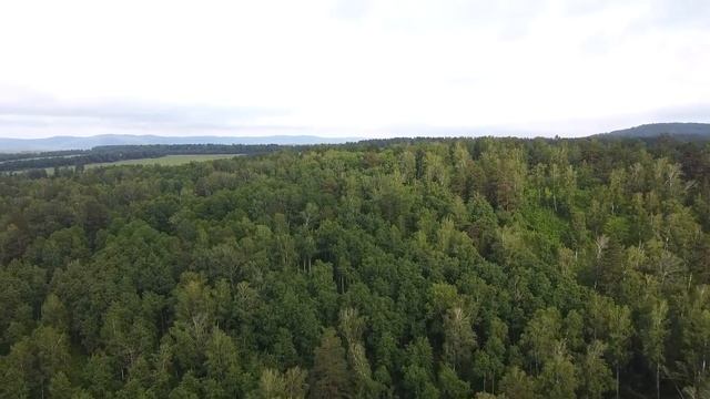 Волк рвал на лоскуты людского выродка за его чудовищный поступок. Этим он спас три жизни смотреть онлайн