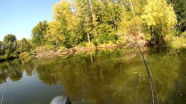 Хозяйка коряг!!!Трофей взят!!!Ловля на джиг в корягах!!!Джиг спиннинг-лето 2018. смотреть онлайн