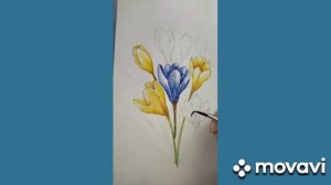 Рисуем весенние цветы. Крокусы акварелью