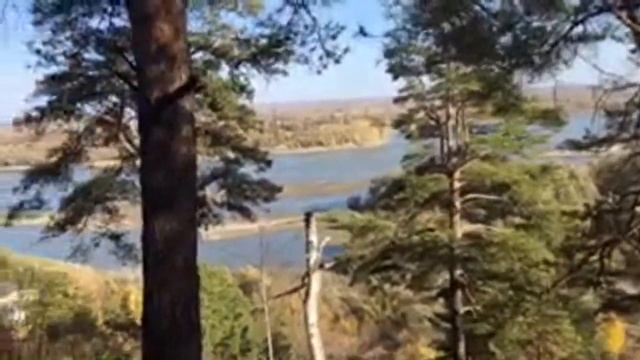 Барнаульский дендрарий имени Лисовенко Барнаул 04.09.2020 Все краски осени смотреть онлайн