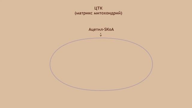 Спокойствие души