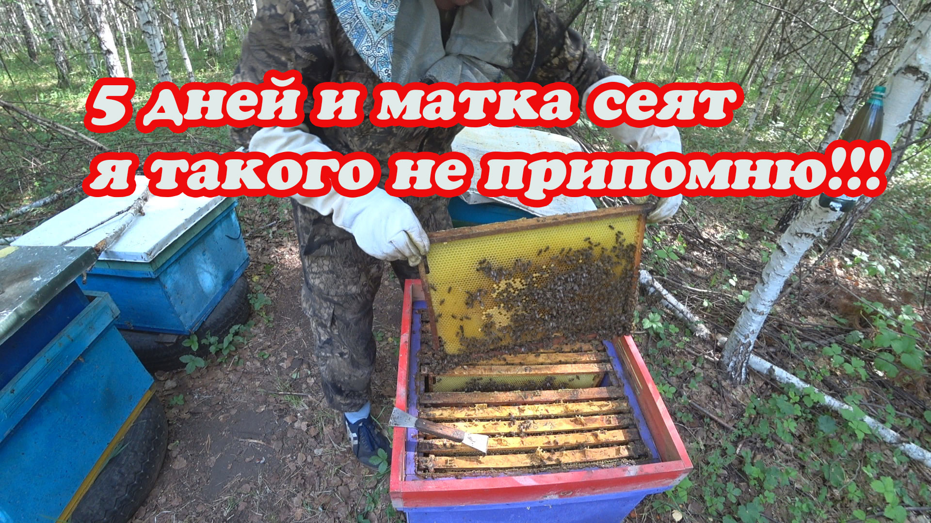 ВЫХОД МАТОК, МЕЧЕНИЕ, ПРОВЕРКА МАТОК И МАТОЧНИКОВ НА ПРИЁМ. смотреть онлайн