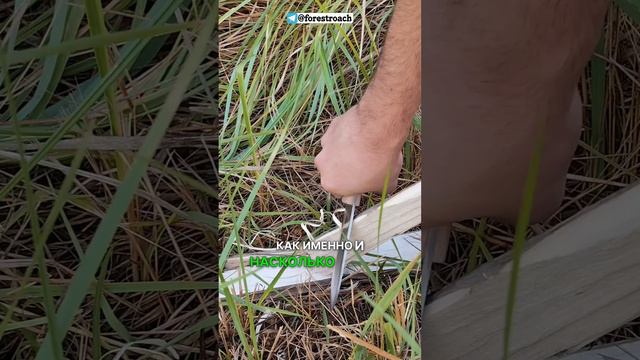 ЛУЧШИЕ СПУСКИ ДЛЯ РАБОТЫ ПО ДЕРЕВУ смотреть онлайн