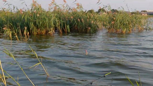 скоро начнётся.#рыбалка#отдых#лето смотреть онлайн