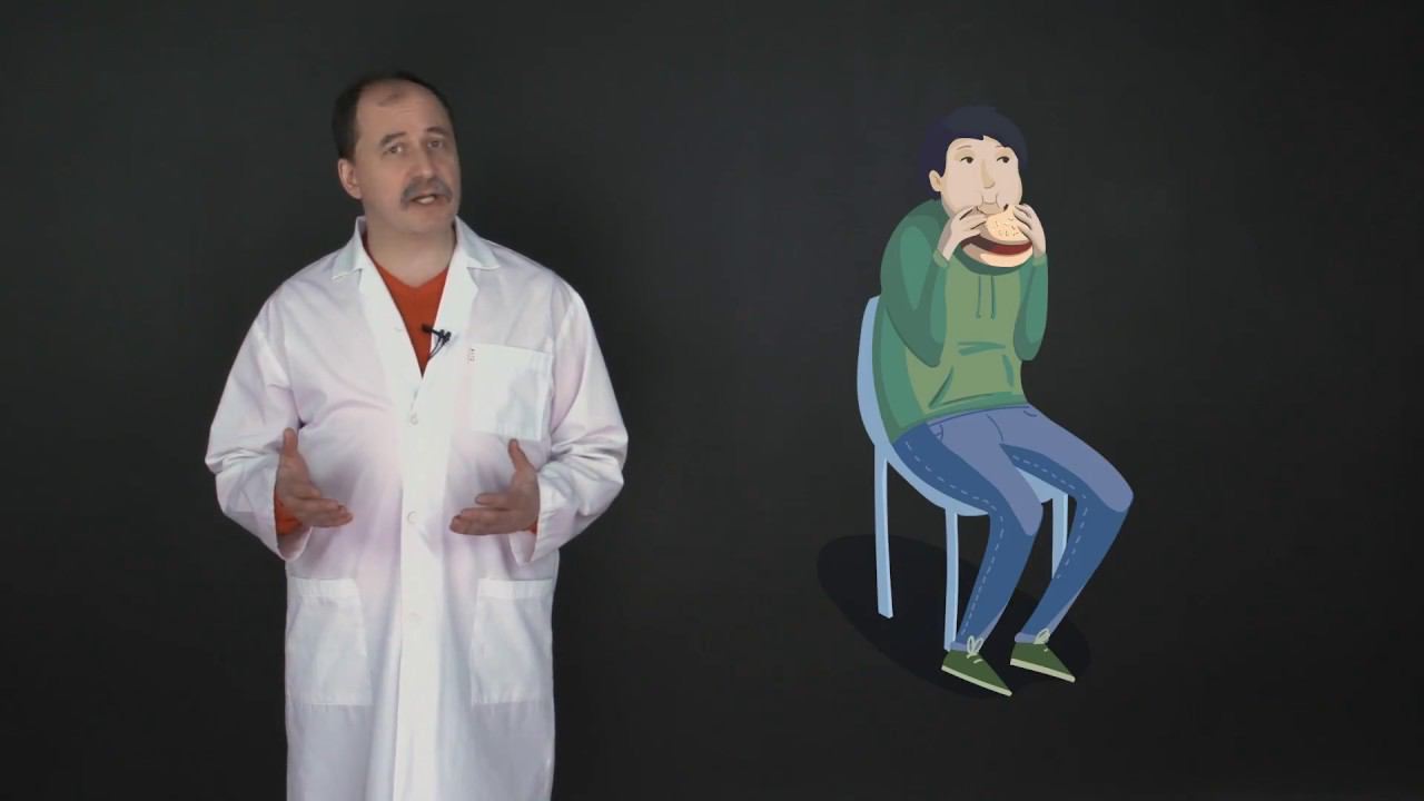 17. Болезни пищеварительной системы. Окружающий мир - 3 класс смотреть онлайн