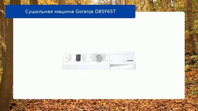 Сушильная машина Gorenje D85F65T обзор и отзыв смотреть онлайн