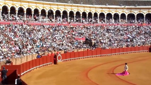 Esto Es Recibir Al Toro A 