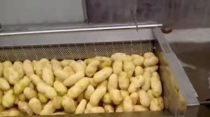 Пример работы устройства для мойки картофеля