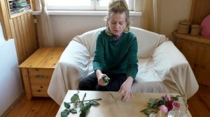 Самый легкий способ укоренения черенков розы.Как укоренить любую розу. Укоренение розы из букета.