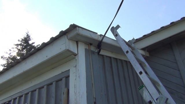 Кусачие караси Попробовали нашу черешню смотреть онлайн