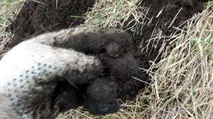 ШУРФИМ ФУНДАМЕНТЫ 17 ВЕКА. РЕДКАЯ НАХОДКА!