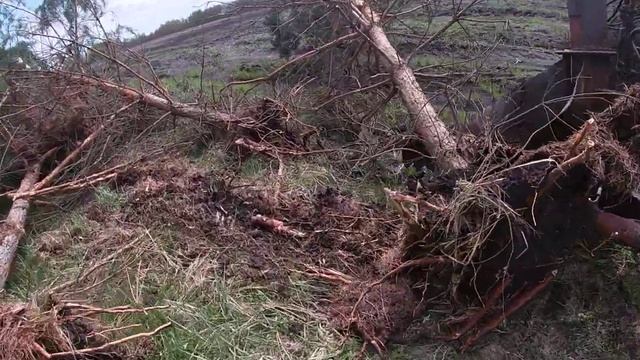 Расчистка полей