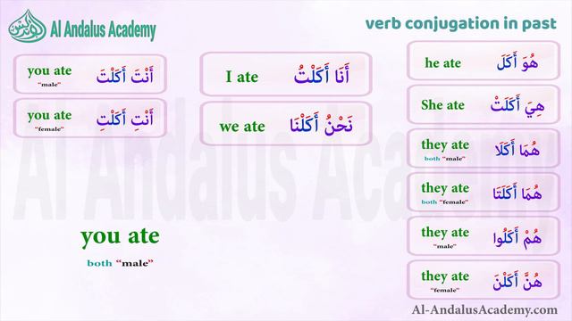Conjugate the verb to eat in Arabic in past tense смотреть онлайн