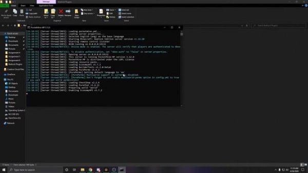 Minecraft Bedrock Plugin Server Tutorial (EASY) 2020
