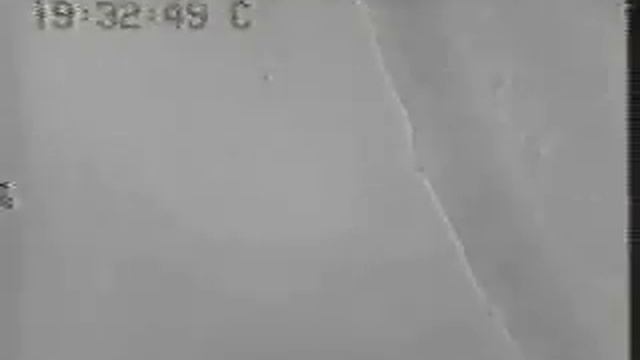 proteus bacteria initialSwarm смотреть онлайн