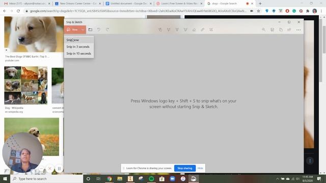Snip and Sketch смотреть онлайн