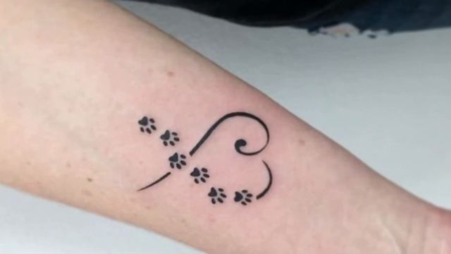 Top 15 Dog paw tattoo ideas 2022 #dogpaw #tattoo #jaiswonderworld #pinterest смотреть онлайн