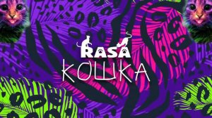 RASA   КОШКА  ПРЕМЬЕРА 2019