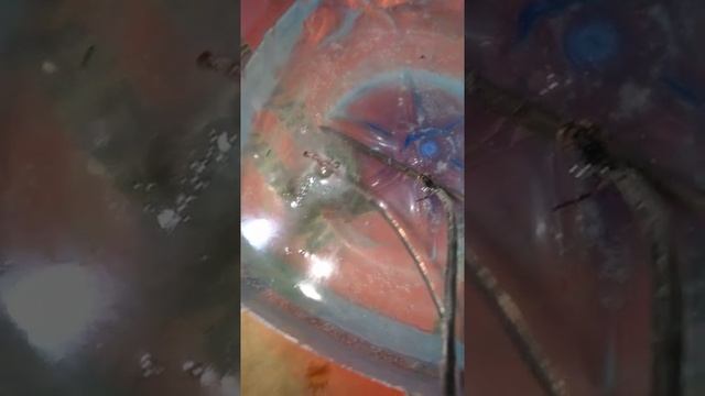 Испытал метод чистки МЕДНЫХ монет электролизом. Результат порадовал смотреть онлайн