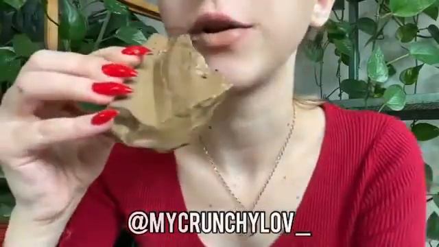 Хруст влажная туркестан жёлтая смотреть онлайн