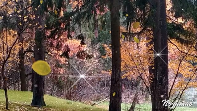 Осенний свет!! Алла Васильева с ансамблем Ретро!!! Жан Татлян. смотреть онлайн