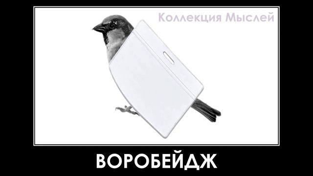 Птицы + ШИЗА = смотреть онлайн