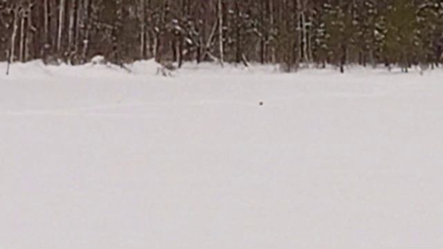 Рыбалка жерлицами в заповеднике. смотреть онлайн