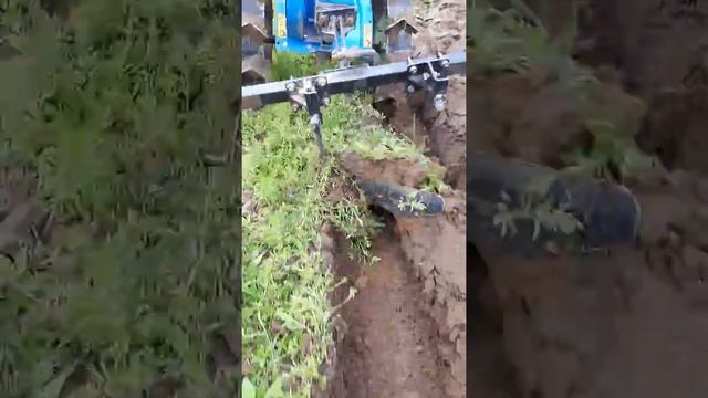 МК-200 НЕВА и плуг смотреть онлайн